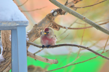 Similar image 22318490