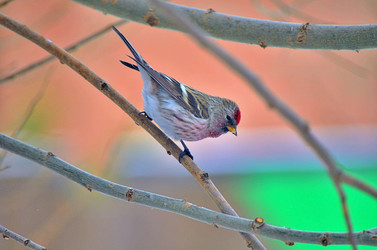 Similar image 22318491