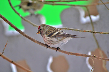 Similar image 22318493