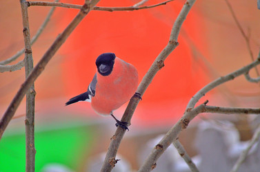 Similar image 22318494