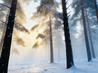 Similar image 22316468