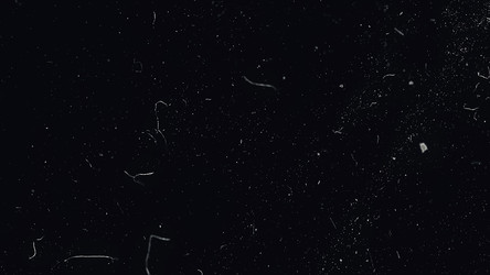 Similar image 22328446