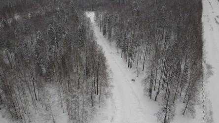 Similar image 22328764