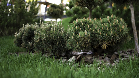 Similar image 22328993