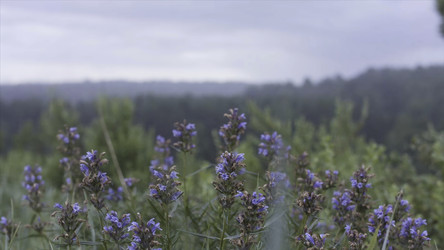 Similar image 22328997