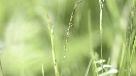 Similar image 22329347