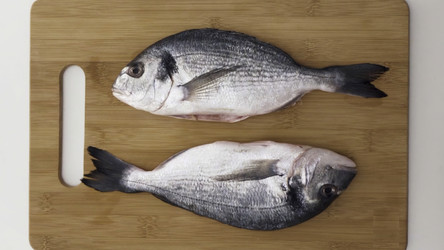 Similar image 22329355