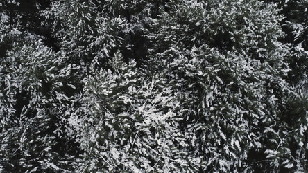 Similar image 22329757