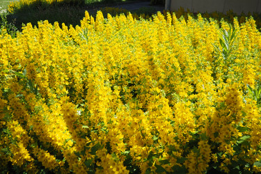 Similar image 22317918