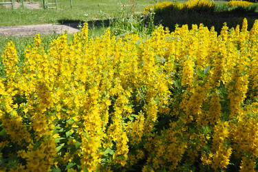 Similar image 22317919