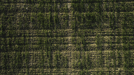 Similar image 22328454