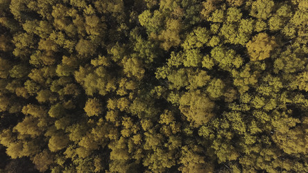 Similar image 22328455