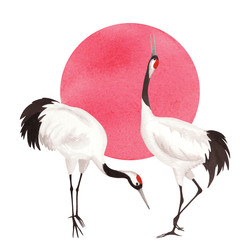 Similar image 22316484