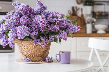 Similar image 22318099