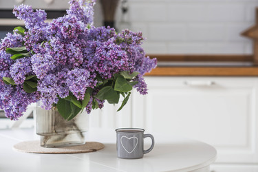 Similar image 22318102