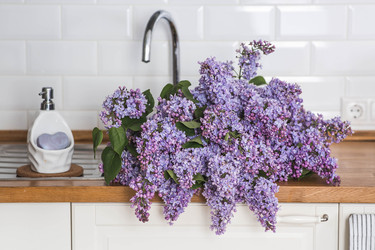 Similar image 22318103