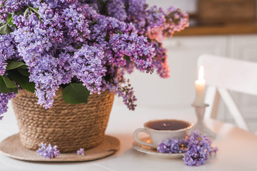 Similar image 22318116