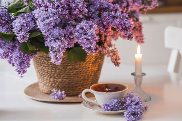 Similar image 22318117