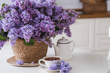 Similar image 22318121