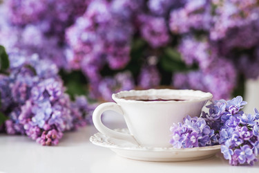 Similar image 22318123