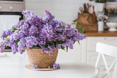 Similar image 22318128