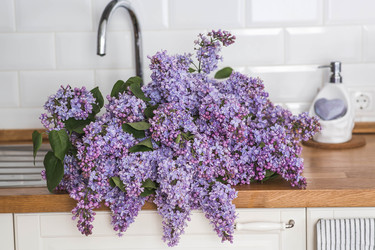 Similar image 22318131