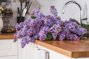 Similar image 22318132