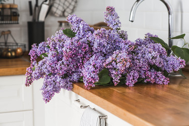 Similar image 22318134