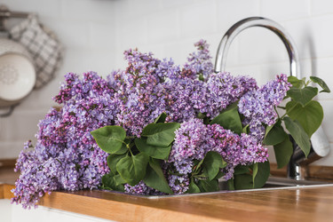 Similar image 22318143