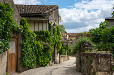 Similar image 22319012