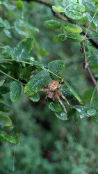 Similar image 22321026