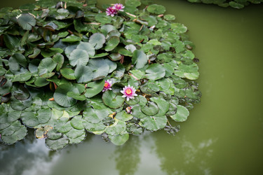 Similar image 22321293