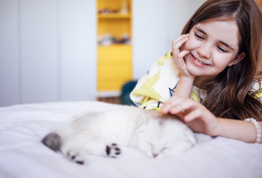 Similar image 22321319