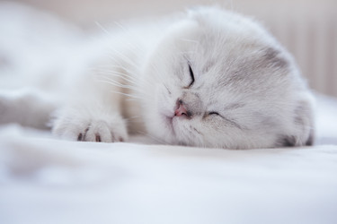 Similar image 22321320