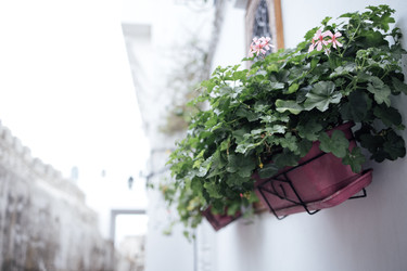 Similar image 22321332