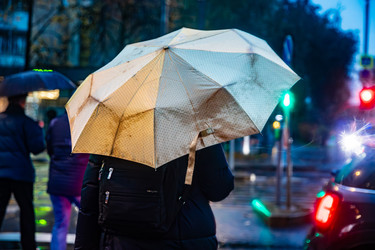 Similar image 22316754