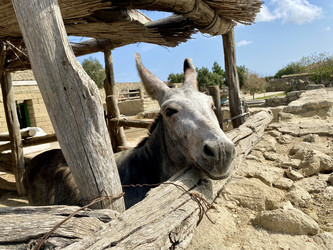 Similar image 22316758