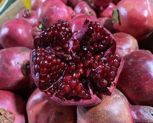 Similar image 22316761