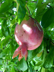 Similar image 22316763