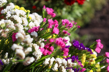 Similar image 22316764