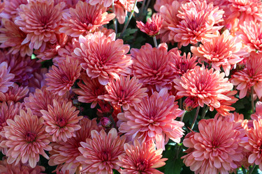 Similar image 22316765