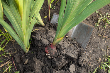 Similar image 22316767