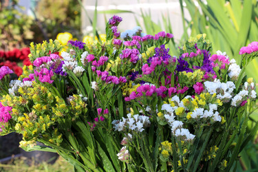 Similar image 22316772