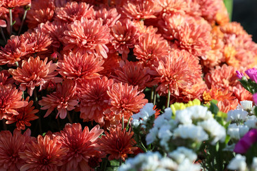 Similar image 22316773