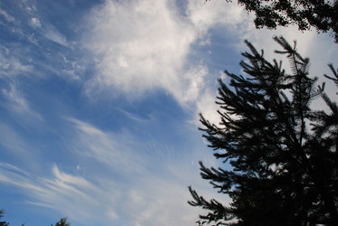 Similar image 22318736