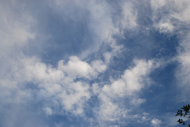 Similar image 22318738