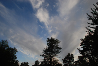 Similar image 22318742