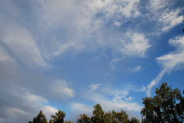 Similar image 22318743