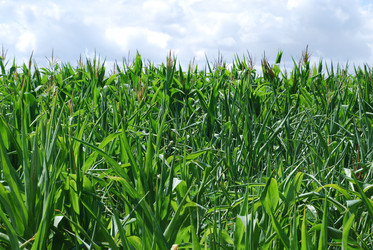 Similar image 22318751