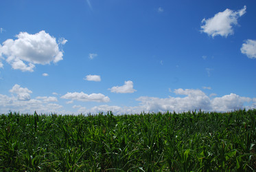 Similar image 22318753